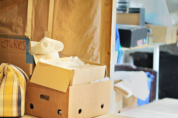 Best Dumpster Rental Services  in Lihue, HI